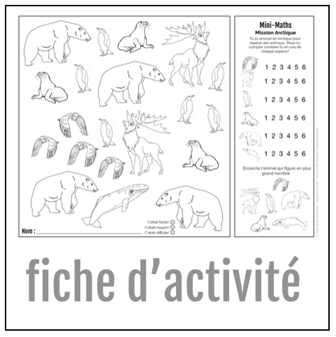 H19 FICHE Mini maths Mission Arctique - Trousse-La banquise colorée