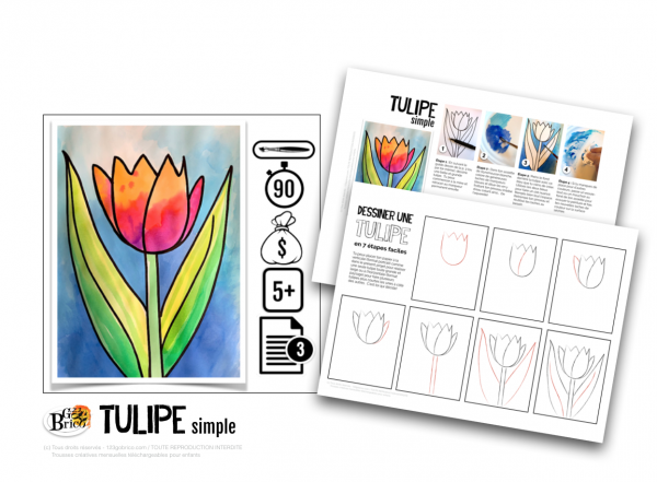 Tulipe simple 1 600x441 - Tulipe simple